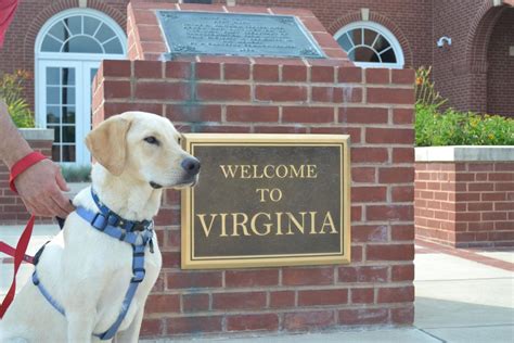 pet friendly hotels in hampton va|Best Pet Friendly Hotels in Hampton from $69/night